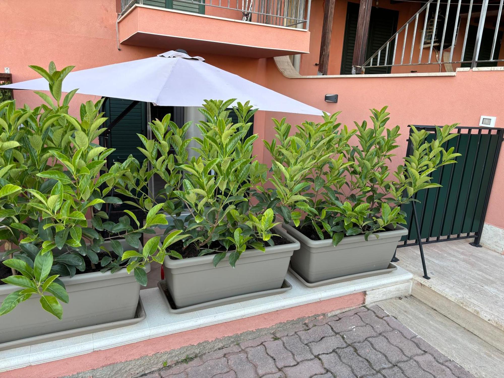 Casa Vacanza Scala Dei Turchi 레알몬테 외부 사진